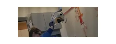 Business 15 image MUST LOVE KIDS PEDIATRIC DENTISTRY Kids' Dentist in Vancouver WA