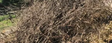 Business 1 image NATIVE EXCAVATION, LLC Resloping in Oklahoma City OK