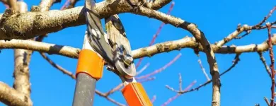 Business 2 image NATIVE EXCAVATION, LLC Resloping in Oklahoma City OK