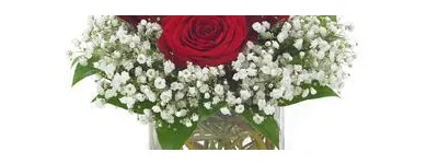 Business 4 image NEVADA FLOWERS & GIFT SHOP Gift Shops in North Las Vegas NV