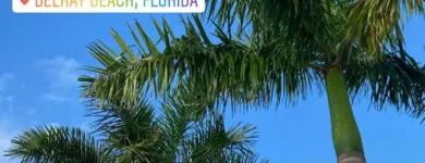 Business 1 image NEXT GENERATION MEDIA GROUP Marketing Services in Delray Beach FL