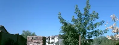 Business 4 image NOAHS ARK CHILD CARE Day Care Centers & Nurseries in Tucson AZ