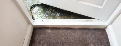 Business 1 image NORTH AMERICAN CHEM-DRY Upholstery Cleaning Service in San Francisco CA