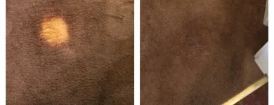 Business 9 image NORTH AMERICAN CHEM-DRY Upholstery Cleaning Service in San Francisco CA