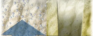 Business 54 image NORTH AMERICAN CHEM-DRY Upholstery Cleaning Service in San Francisco CA
