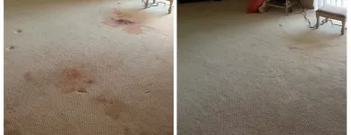 Business 60 image NORTH AMERICAN CHEM-DRY Upholstery Cleaning Service in San Francisco CA
