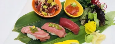 Business 2 image O-TORO MIDTOWN in Sacramento CA