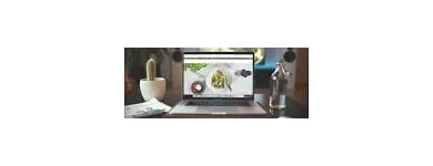 Business 1 image OCASIO CONSULTING Web Design & Development in Orlando FL