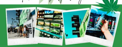 Business 2 image OFF THE CHARTS - DISPENSARY IN RAMONA Retail Stores in Ramona CA