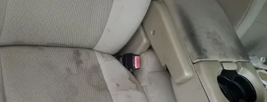 Business 19 image OMG MOBILE AUTO DETAILING in San Jose CA