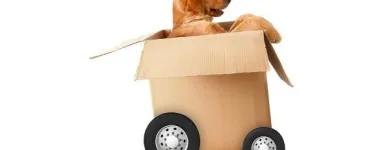 Business 35 image OPEN DOOR MOVERS, LLC Piano Moving Service in Kansas City MO