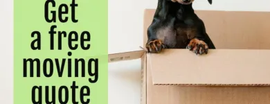 Business 61 image OPEN DOOR MOVERS, LLC Piano Moving Service in Kansas City MO