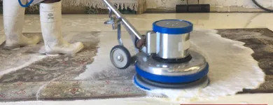 Business 7 image ORIENTAL RUG CLEANING KENDALL PROS Carpet & Rug Cleaners in Miami FL