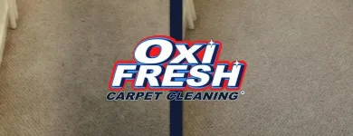 Business 5 image OXI FRESH CARPET CLEANING Floor & Tile Cleaning in Richmond TX