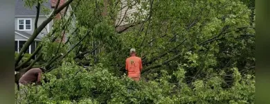Business 1 image P&L TREE SERVICE Tree Trimming Service in Indianapolis IN