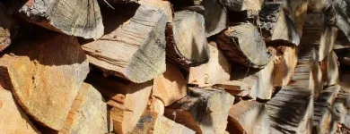 Business 4 image P&L TREE SERVICE Tree Trimming Service in Indianapolis IN