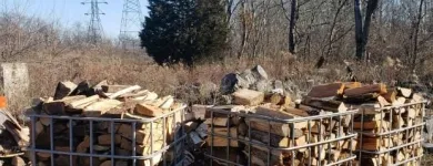 Business 6 image P&L TREE SERVICE Tree Trimming Service in Indianapolis IN