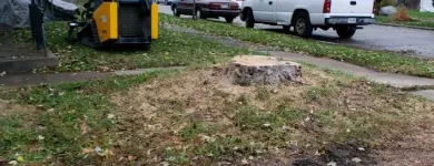 Business 7 image P&L TREE SERVICE Tree Trimming Service in Indianapolis IN