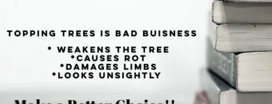 Business 8 image P&L TREE SERVICE Tree Trimming Service in Indianapolis IN