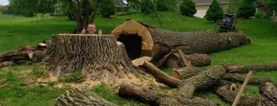 Business 9 image P&L TREE SERVICE Tree Trimming Service in Indianapolis IN