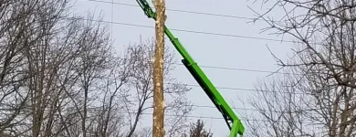 Business 10 image P&L TREE SERVICE Tree Trimming Service in Indianapolis IN