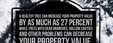 Business 11 image P&L TREE SERVICE Tree Trimming Service in Indianapolis IN