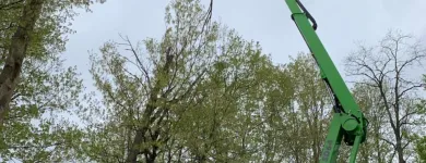 Business 13 image P&L TREE SERVICE Tree Trimming Service in Indianapolis IN