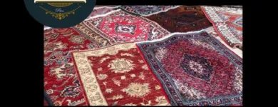 Business 1 image PALM BEACH ORIENTAL RUG CLEANING PROS best rug cleaning service in West Palm Beach FL
