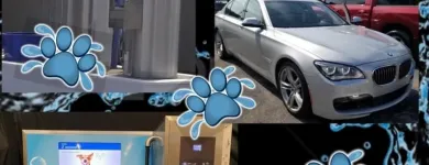 Business 6 image PAMPER YOUR POOCH SELF SERVICE PET & CARWASH in Saint Louis MO