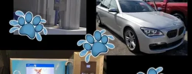 Business 16 image PAMPER YOUR POOCH SELF SERVICE PET & CARWASH in Saint Louis MO