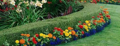 Business 1 image PARADISE LAWN & MAINTENANCE Lawn Maintenance in Garden Ridge TX
