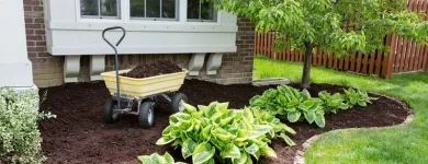 Business 2 image PARADISE LAWN & MAINTENANCE Lawn Maintenance in Garden Ridge TX