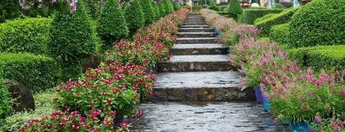 Business 3 image PARADISE LAWN & MAINTENANCE Lawn Maintenance in Garden Ridge TX