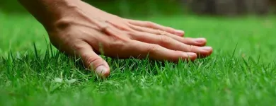 Business 5 image PARADISE LAWN & MAINTENANCE Lawn Maintenance in Garden Ridge TX