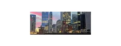 Business 1 image PARTNER DIGITAL AGENCY Advertising Agencies in Chicago IL