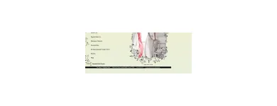 Business 1 image PATSY'S A BRIDAL BOUTIQUE Bridal Gown Preservation in Dallas TX