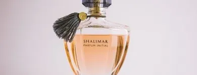 Business 9 image PERFUME PARADISE Fragrance Stores in Richmond VA