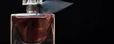 Business 18 image PERFUME PARADISE Fragrance Stores in Richmond VA