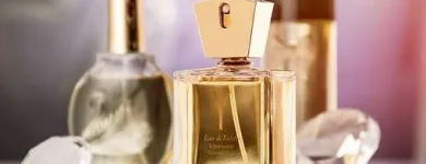Business 24 image PERFUME PARADISE Fragrance Stores in Richmond VA