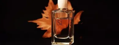 Business 33 image PERFUME PARADISE Fragrance Stores in Richmond VA