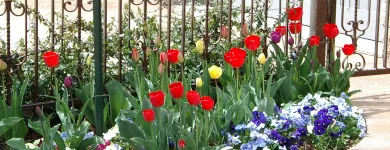 Business 3 image PERSONAL TOUCH LANDSCAPE & GARDENING Landscaping & Lawn Services in Colorado Springs CO