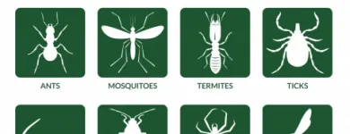 Business 3 image PEST SOLUTIONS, INC. in Richmond VA
