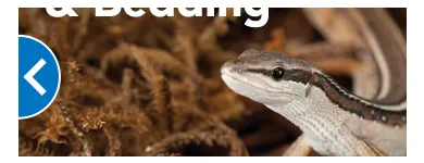 Business 7 image PETSMART Tropical Fish in Tucson AZ