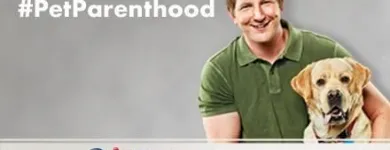 Business 1 image PETSMART Veterinarians in Indianapolis IN