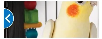 Business 4 image PETSMART Veterinarians in Indianapolis IN