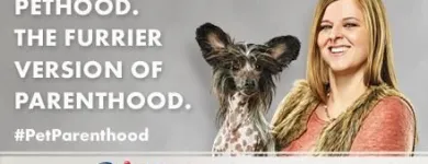 Business 1 image PETSMART Pet Adoption Service in Richmond VA