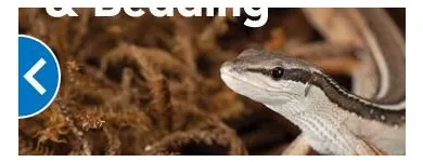 Business 3 image PETSMART Pet Adoption Service in Richmond VA