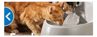 Business 9 image PETSMART Pet Adoption Service in Richmond VA