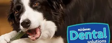 Business 12 image PETSMART Pet Adoption Service in Richmond VA