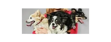Business 13 image PETSMART Pet Adoption Service in Richmond VA
